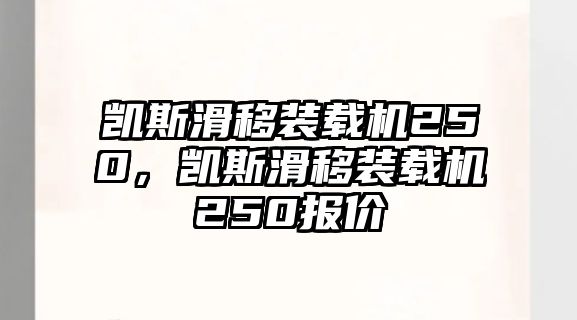 凱斯滑移裝載機250，凱斯滑移裝載機250報價