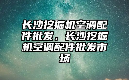 長沙挖掘機(jī)空調(diào)配件批發(fā)，長沙挖掘機(jī)空調(diào)配件批發(fā)市場