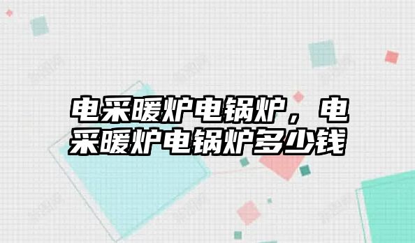 電采暖爐電鍋爐，電采暖爐電鍋爐多少錢