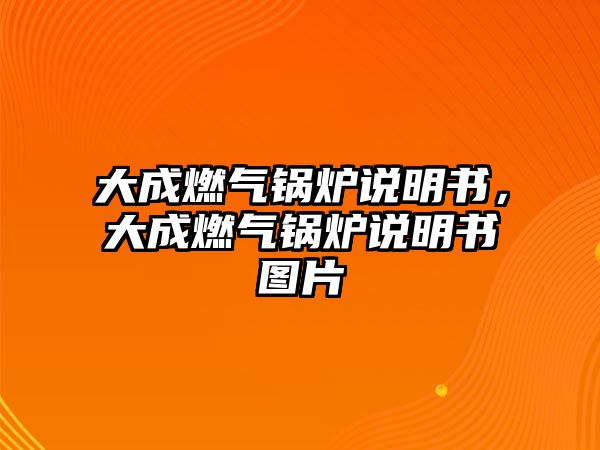 大成燃?xì)忮仩t說明書，大成燃?xì)忮仩t說明書圖片