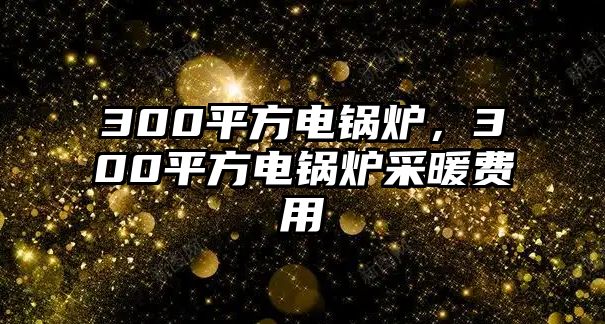 300平方電鍋爐，300平方電鍋爐采暖費(fèi)用