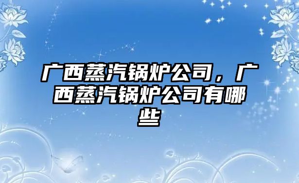 廣西蒸汽鍋爐公司，廣西蒸汽鍋爐公司有哪些