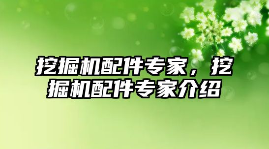 挖掘機配件專家，挖掘機配件專家介紹