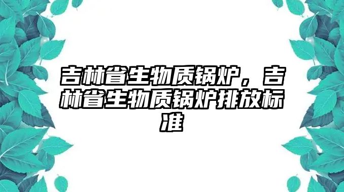 吉林省生物質(zhì)鍋爐，吉林省生物質(zhì)鍋爐排放標準