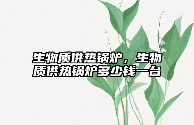 生物質(zhì)供熱鍋爐，生物質(zhì)供熱鍋爐多少錢一臺