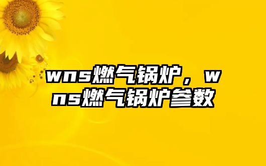 wns燃?xì)忮仩t，wns燃?xì)忮仩t參數(shù)