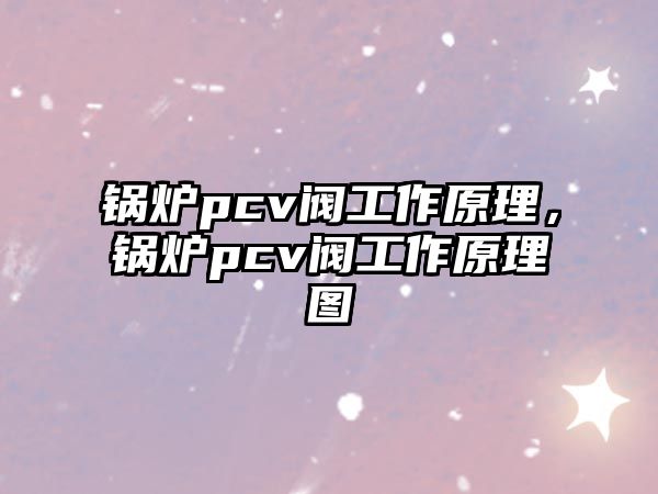 鍋爐pcv閥工作原理，鍋爐pcv閥工作原理圖