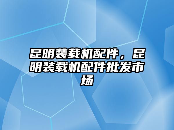 昆明裝載機(jī)配件，昆明裝載機(jī)配件批發(fā)市場