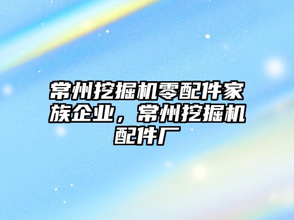 常州挖掘機零配件家族企業(yè)，常州挖掘機配件廠