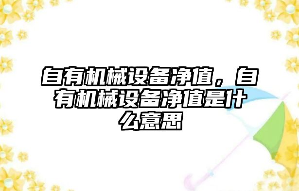 自有機(jī)械設(shè)備凈值，自有機(jī)械設(shè)備凈值是什么意思