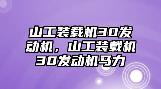 山工裝載機(jī)30發(fā)動機(jī)，山工裝載機(jī)30發(fā)動機(jī)馬力