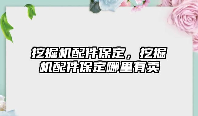 挖掘機(jī)配件保定，挖掘機(jī)配件保定哪里有賣