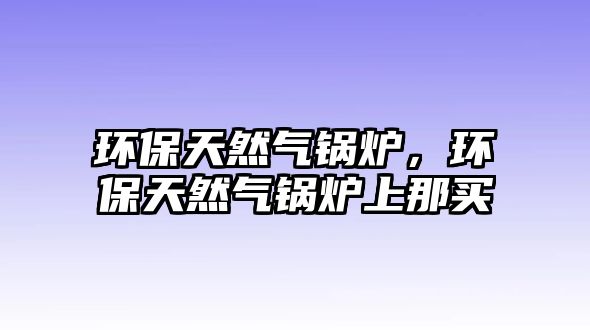 環(huán)保天然氣鍋爐，環(huán)保天然氣鍋爐上那買