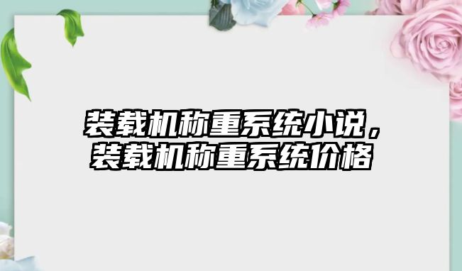 裝載機稱重系統(tǒng)小說，裝載機稱重系統(tǒng)價格