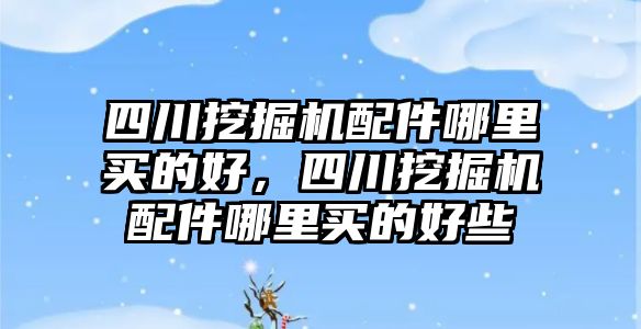 四川挖掘機(jī)配件哪里買的好，四川挖掘機(jī)配件哪里買的好些