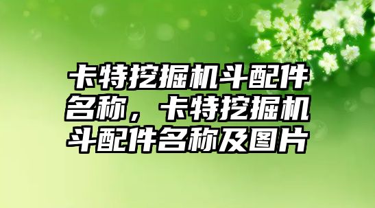 卡特挖掘機斗配件名稱，卡特挖掘機斗配件名稱及圖片