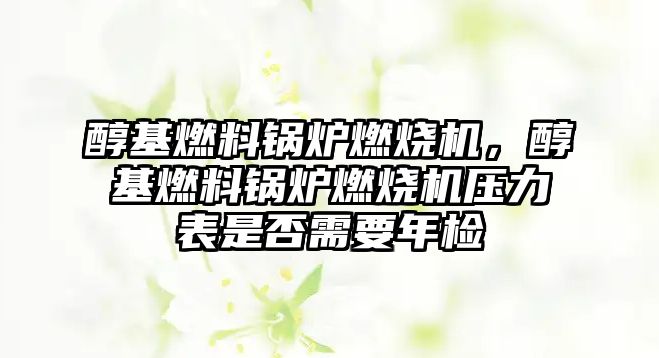 醇基燃料鍋爐燃燒機，醇基燃料鍋爐燃燒機壓力表是否需要年檢