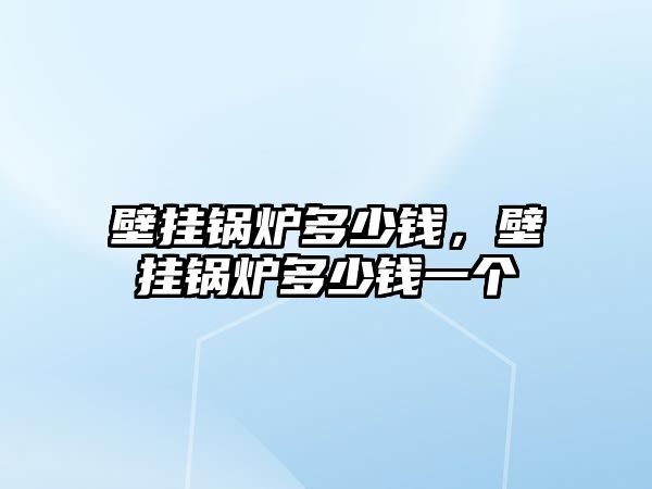 壁掛鍋爐多少錢，壁掛鍋爐多少錢一個