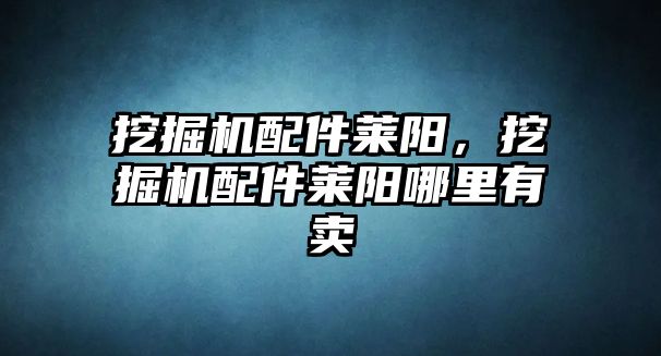 挖掘機配件萊陽，挖掘機配件萊陽哪里有賣