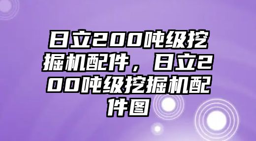 日立200噸級(jí)挖掘機(jī)配件，日立200噸級(jí)挖掘機(jī)配件圖