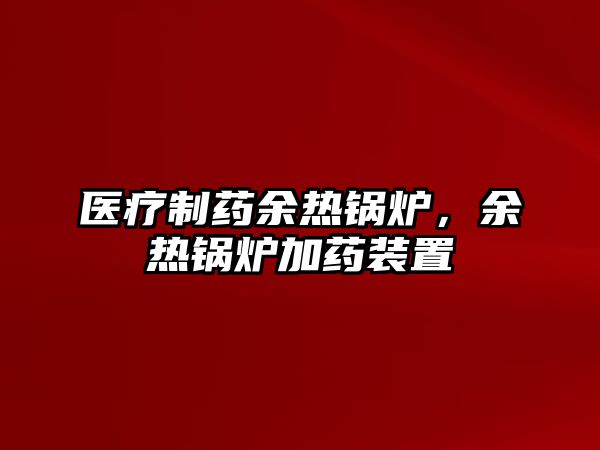 醫(yī)療制藥余熱鍋爐，余熱鍋爐加藥裝置