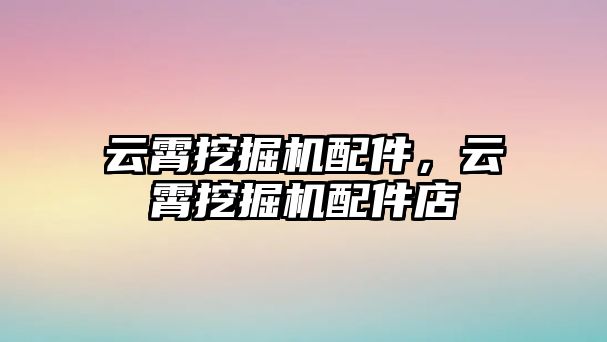 云霄挖掘機配件，云霄挖掘機配件店