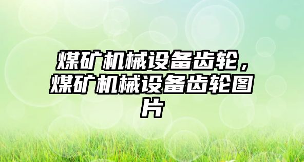 煤礦機械設備齒輪，煤礦機械設備齒輪圖片