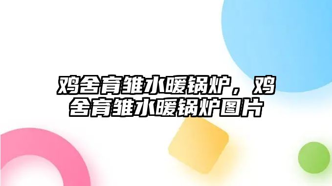 雞舍育雛水暖鍋爐，雞舍育雛水暖鍋爐圖片