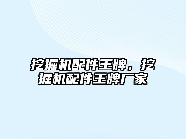 挖掘機配件王牌，挖掘機配件王牌廠家