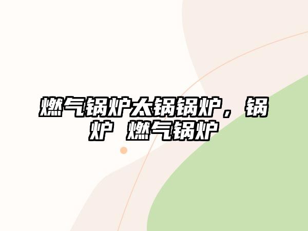 燃?xì)忮仩t太鍋鍋爐，鍋爐 燃?xì)忮仩t