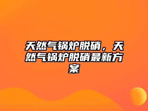 天然氣鍋爐脫硝，天然氣鍋爐脫硝最新方案