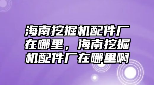 海南挖掘機配件廠在哪里，海南挖掘機配件廠在哪里啊