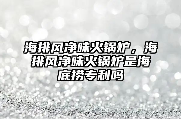 海排風凈味火鍋爐，海排風凈味火鍋爐是海底撈專利嗎