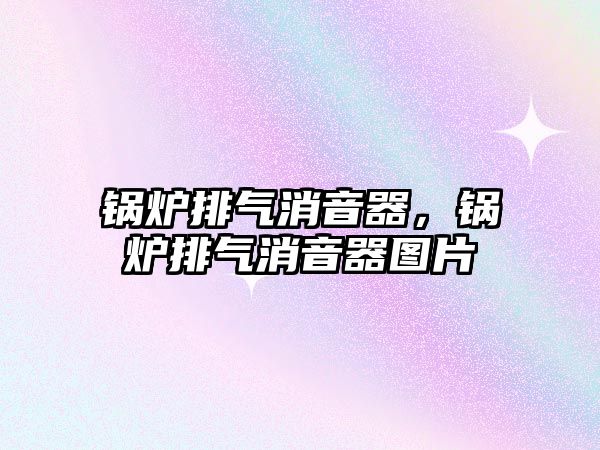 鍋爐排氣消音器，鍋爐排氣消音器圖片