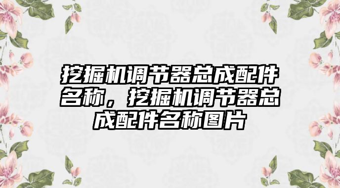 挖掘機(jī)調(diào)節(jié)器總成配件名稱，挖掘機(jī)調(diào)節(jié)器總成配件名稱圖片