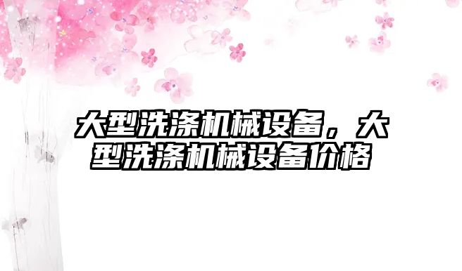 大型洗滌機械設備，大型洗滌機械設備價格