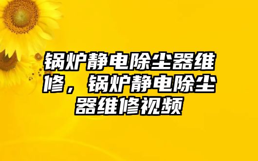 鍋爐靜電除塵器維修，鍋爐靜電除塵器維修視頻