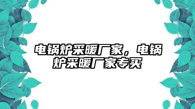 電鍋爐采暖廠家，電鍋爐采暖廠家專買