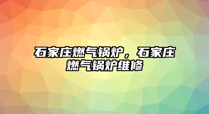 石家莊燃?xì)忮仩t，石家莊燃?xì)忮仩t維修