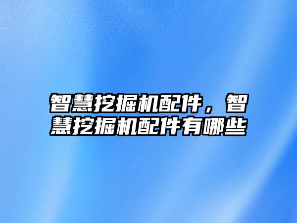 智慧挖掘機配件，智慧挖掘機配件有哪些