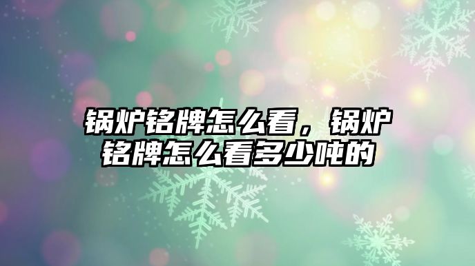 鍋爐銘牌怎么看，鍋爐銘牌怎么看多少噸的