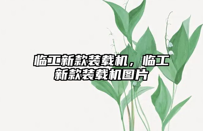 臨工新款裝載機(jī)，臨工新款裝載機(jī)圖片