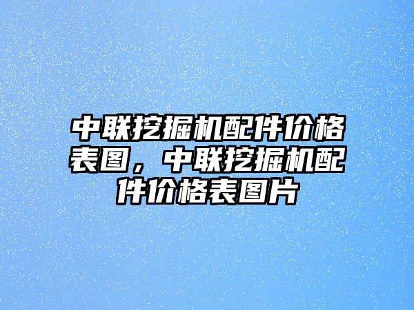 中聯(lián)挖掘機配件價格表圖，中聯(lián)挖掘機配件價格表圖片