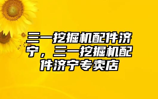 三一挖掘機配件濟寧，三一挖掘機配件濟寧專賣店