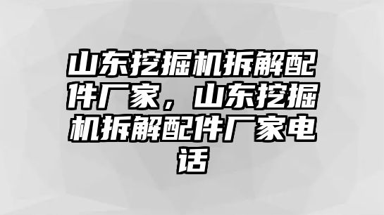 山東挖掘機(jī)拆解配件廠家，山東挖掘機(jī)拆解配件廠家電話