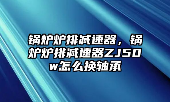 鍋爐爐排減速器，鍋爐爐排減速器ZJ50w怎么換軸承