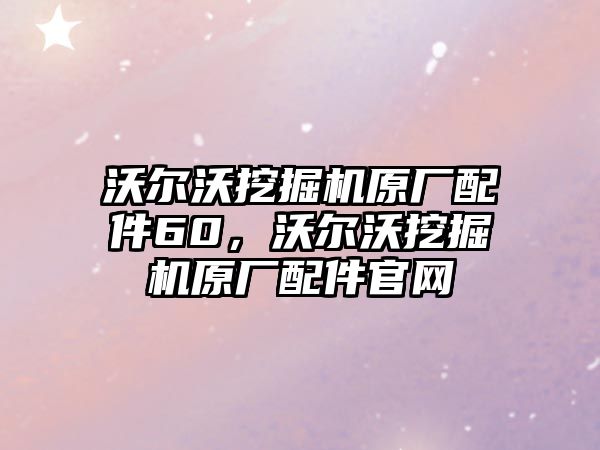 沃爾沃挖掘機原廠配件60，沃爾沃挖掘機原廠配件官網(wǎng)