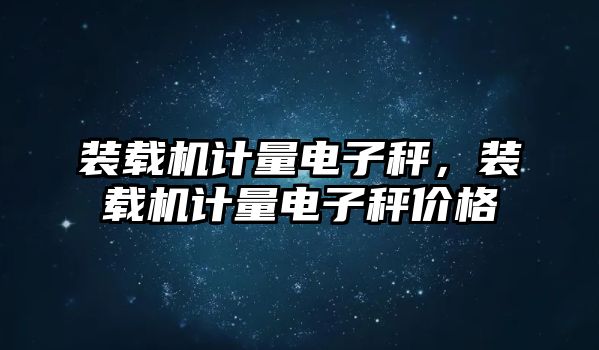 裝載機(jī)計(jì)量電子秤，裝載機(jī)計(jì)量電子秤價(jià)格