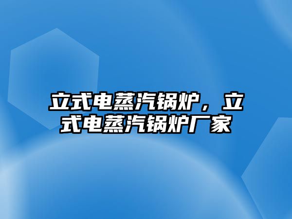 立式電蒸汽鍋爐，立式電蒸汽鍋爐廠家