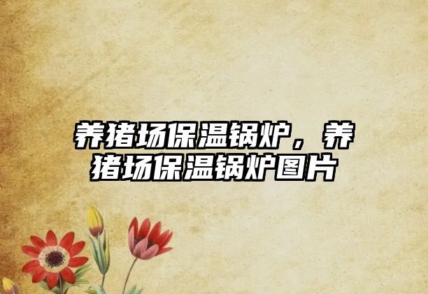 養(yǎng)豬場保溫鍋爐，養(yǎng)豬場保溫鍋爐圖片